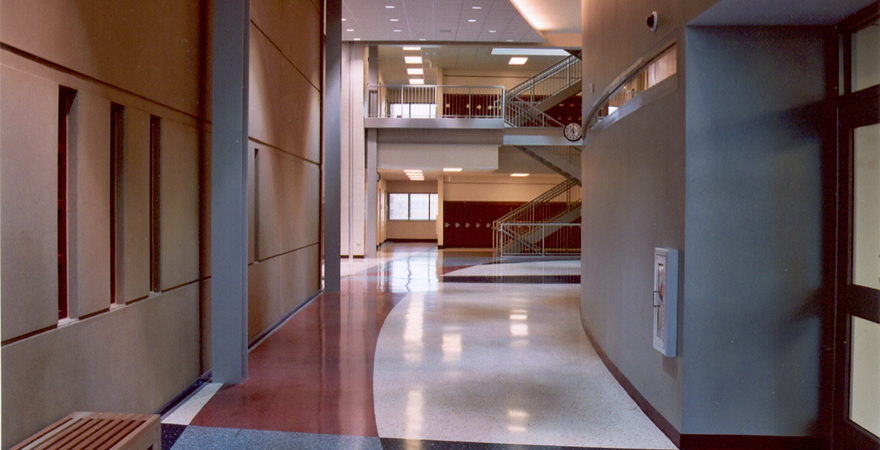 HSD11